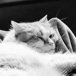 Max Timothy - @mt.bczk - Instagram