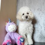 🅜🅐🅧 - @max_todorovdog - Instagram