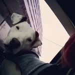 MaxToTheMillions - @maxtothemillions - Instagram