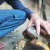 Max Tovar - Facebook