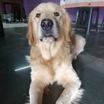 Máx Tovar - @maxelgolden25 - Instagram