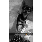 Max Tovar - @max.tovar.148 - Instagram
