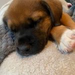 Max Townsend - @maxtworld - Instagram