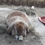max townsend - @maxtownsend5737 - Instagram