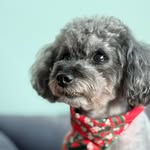 Max - @maxtoymax - Instagram