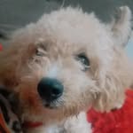 max toy - @maxto_y - Instagram