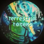 𝕄𝕒𝕩 𝕋𝕣𝕒𝕤𝕜 - @terrestrial_totems - Instagram