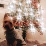 Max Travis - @maxxi_padd_ - Instagram