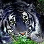 Max Trent - @trent.max - Instagram