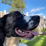 Max Trevor - @max_trevor_ - Instagram