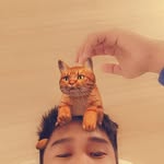 Max Trevor - @max_engr24 - Instagram