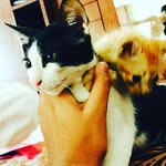 Official_Max&Trevor - @max_trevor - Instagram
