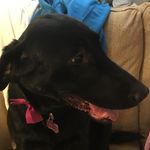 Maxy.trimble - @maxy.trimble - Instagram