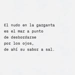Max Trinidad - @durang0max - Instagram