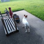 Max Triplett - @triplett.max - Instagram