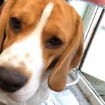 Max Trippett - @max_tripp_1 - Instagram