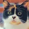 Макс Троицкий - @maxtroitsky - TikTok