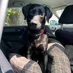 Max trotter - @trot.ter9997 - Instagram