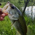 Max Troutman - @troutmanmax - Instagram