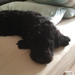 Max - @max_truman15 - Instagram