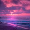 max.Tully - @max.tully - TikTok