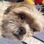 Max Tuttle - @bass_master2303 - Instagram