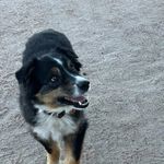 Max Tuttle - @maxt_35 - Instagram