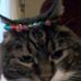 Max Tuttle-Mann - Facebook