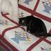 Max Tuttle-Mann - Facebook