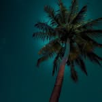 Max Ulrich - @max173ulx - Instagram