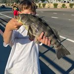 max underhill - @mju_fishn - Instagram