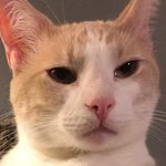 Max Underhill - @max_underhill_the_seventh - Instagram