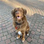 Max Underhill - @maxandtoller - Instagram