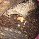 Max underhill - @underhill506 - Instagram