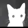 Max - @valencia.max - TikTok