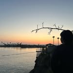 Max valencia - @max_valencia955 - Instagram