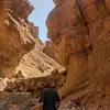 Max Vogel - @maxvogel - TikTok