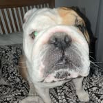 Max waddell - @weemax30 - Instagram