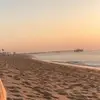 he/him - @max.wald - TikTok
