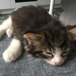 Max Weis - @maxweis_ - Instagram