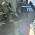 Max Wells - Facebook