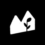 Maxwells Trading - @maxwellstrading - Instagram