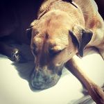 max westerman - @westerman_max - Instagram