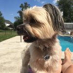 Max Westermann - @max.westermann - Instagram