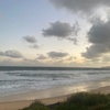 westy - @max.westerman - TikTok