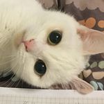 Max-westphal - @max.w_2003 - Instagram