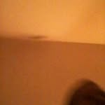 Maxean Whaley - @maxeanwhaley - Instagram