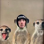 Max Whiting - @max.whyting - Instagram