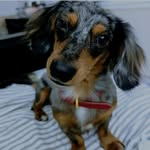 Max Whitman - @maxdox678 - Instagram
