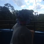 Max Whitman - @maxwhitman.11 - Instagram